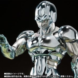 SH FIGUARTS METAL COOLER